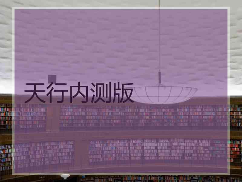 天行内测版