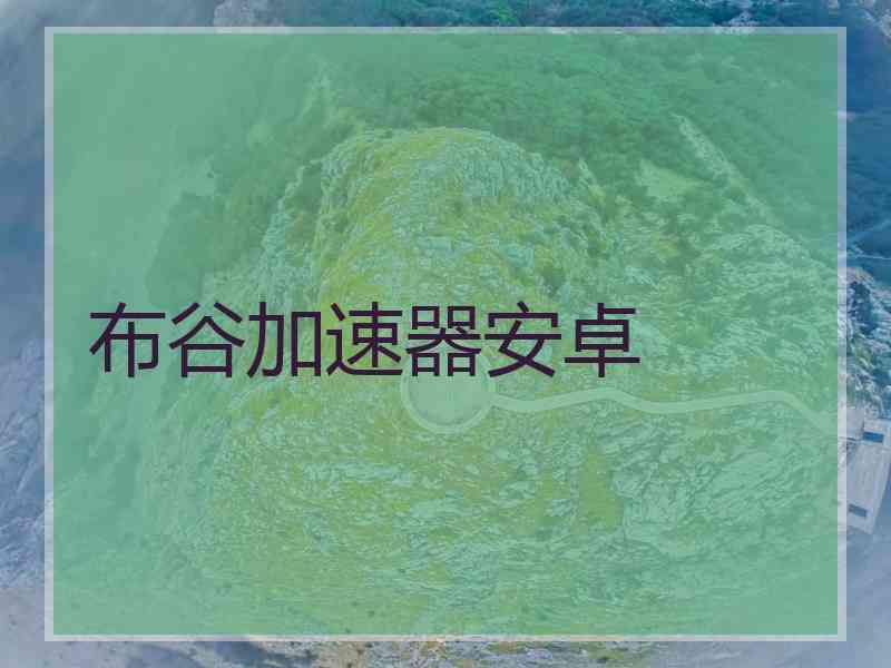 布谷加速器安卓