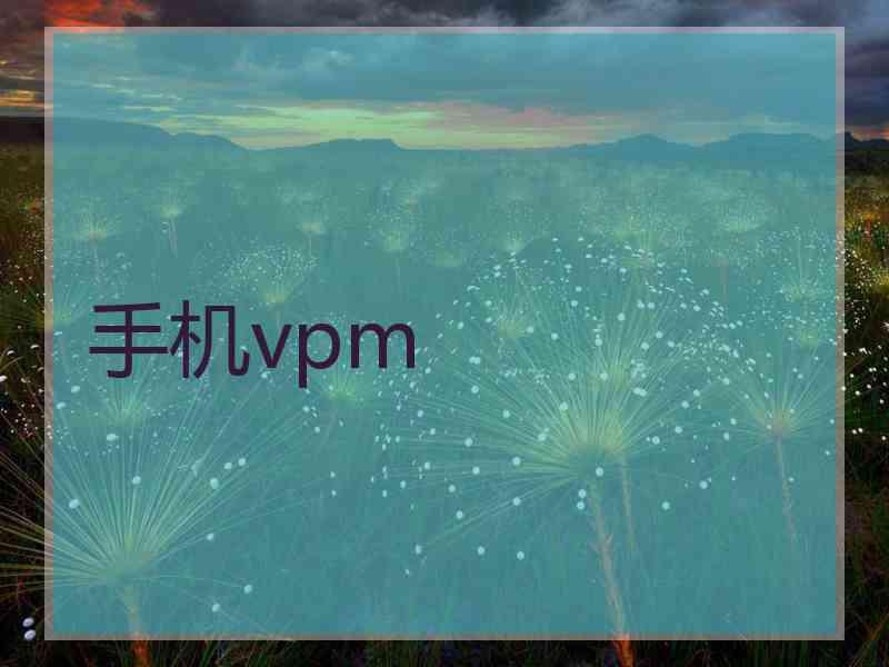 手机vpm