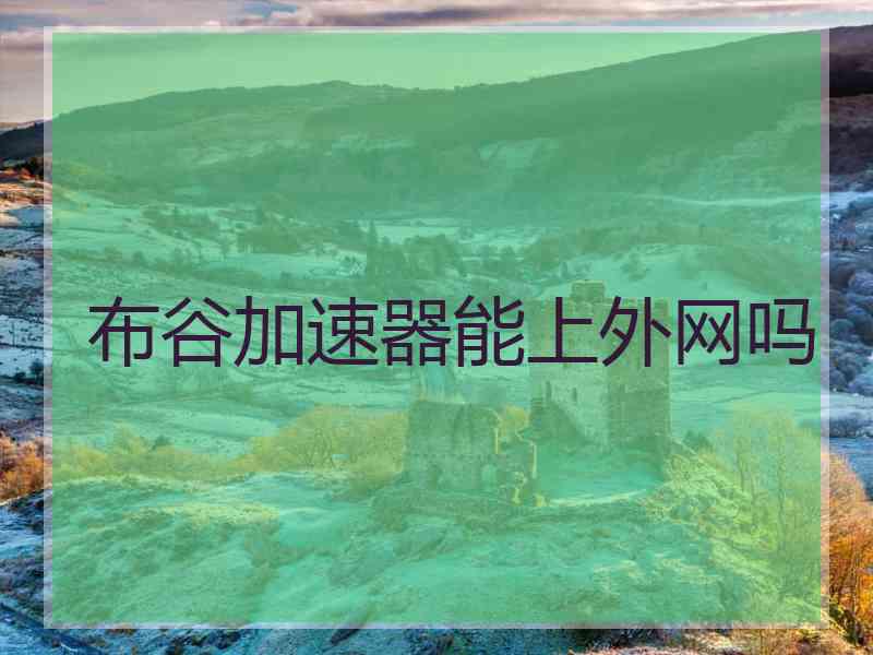 布谷加速器能上外网吗