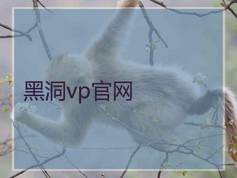 黑洞vp官网
