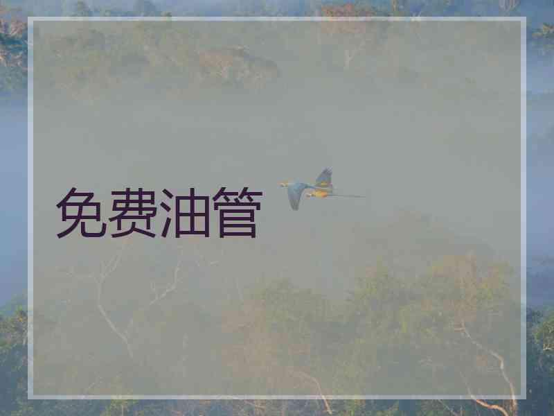 免费油管