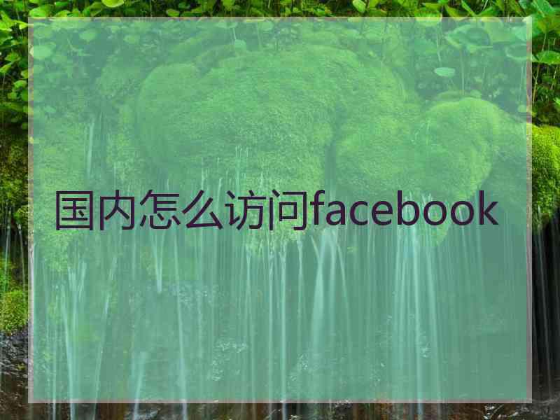 国内怎么访问facebook