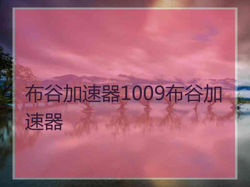 布谷加速器1009布谷加速器