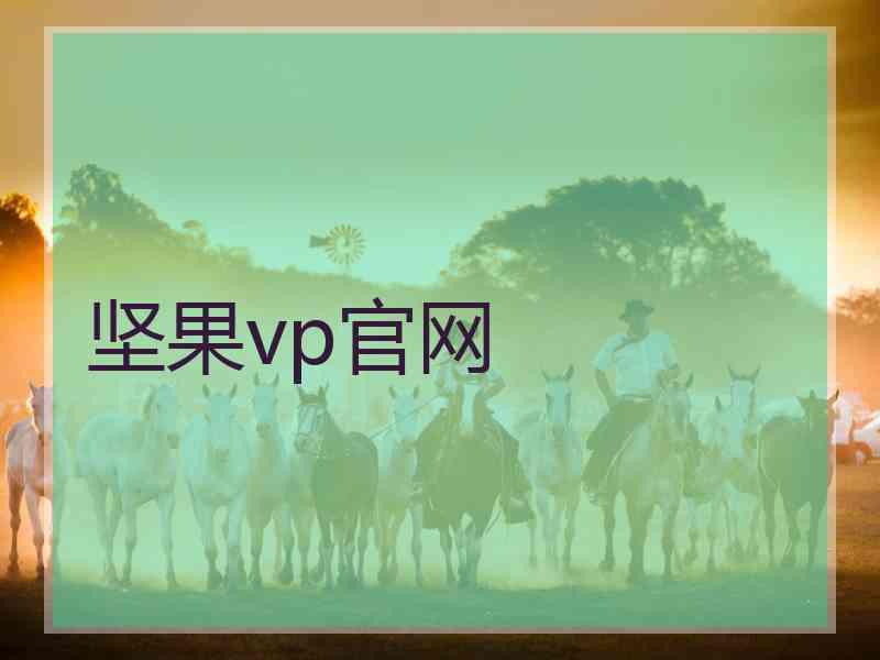 坚果vp官网