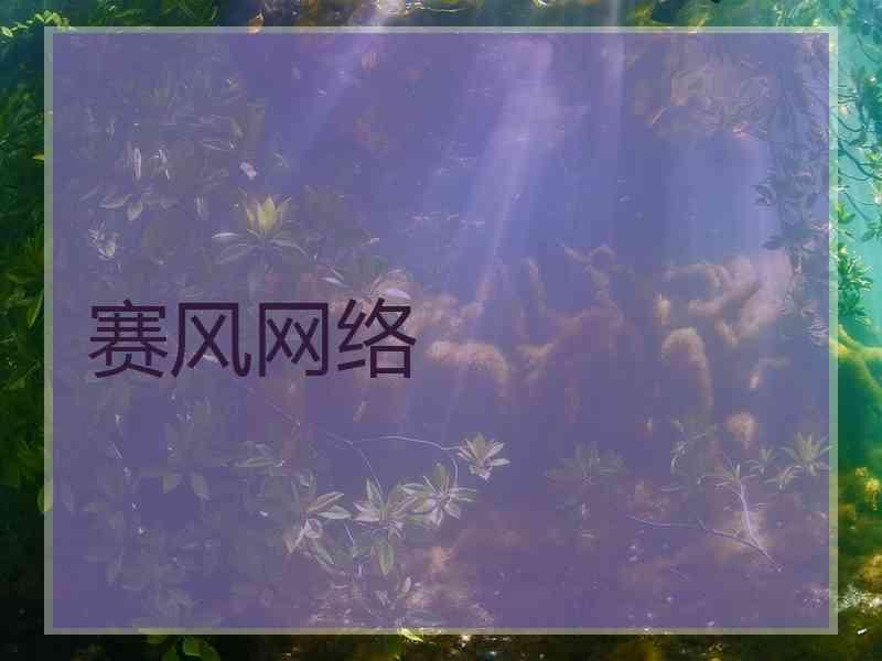 赛风网络