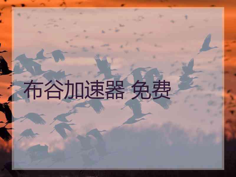 布谷加速器 免费