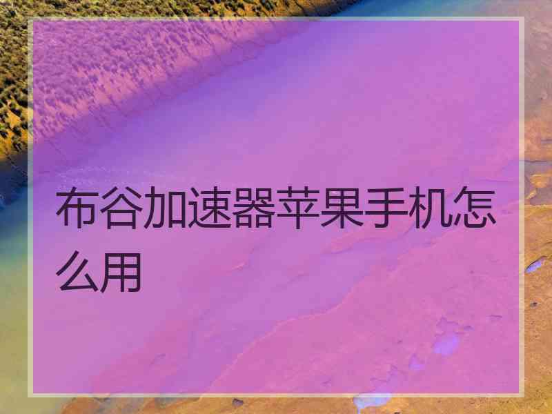 布谷加速器苹果手机怎么用