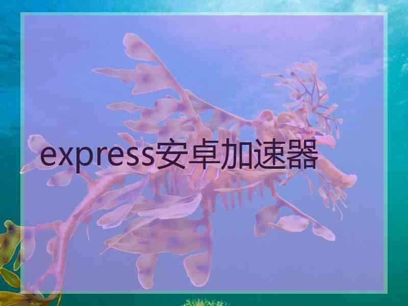 express安卓加速器