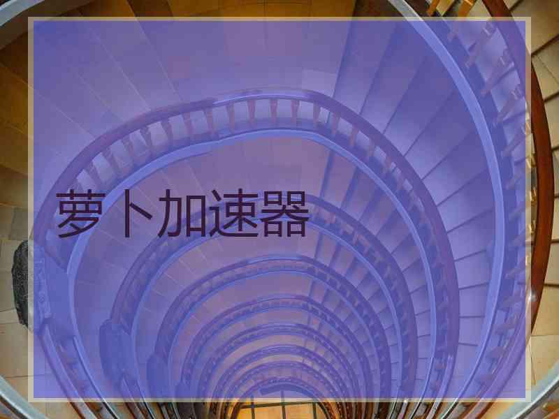 萝卜加速器