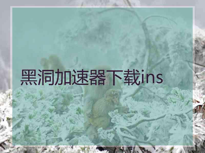 黑洞加速器下载ins