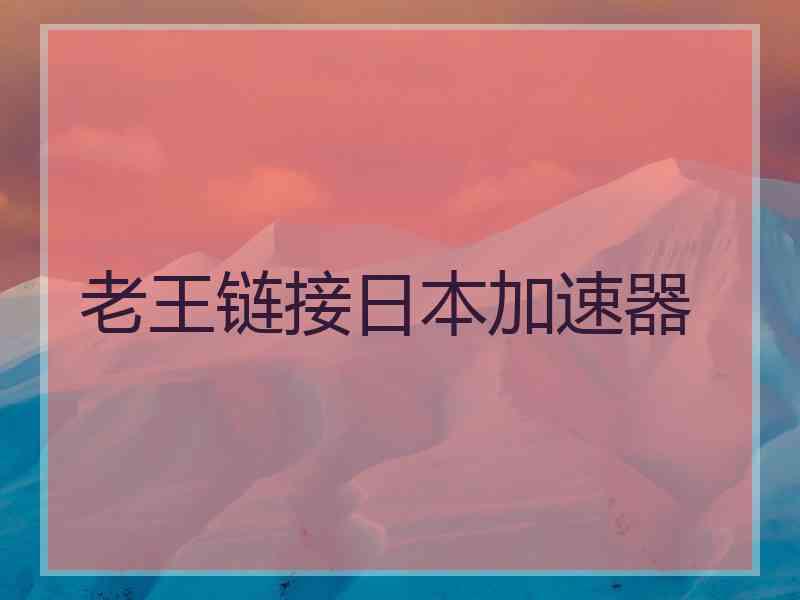 老王链接日本加速器