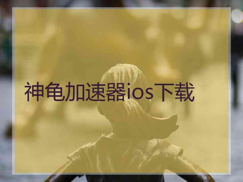 神龟加速器ios下载