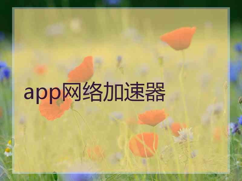 app网络加速器