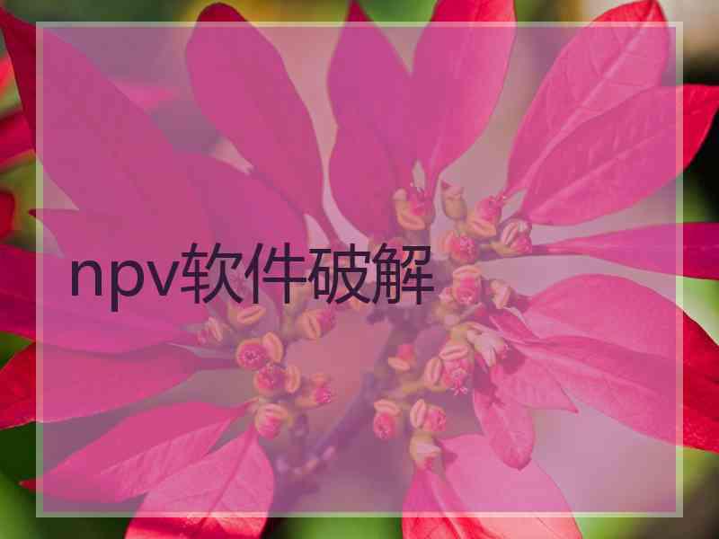 npv软件破解
