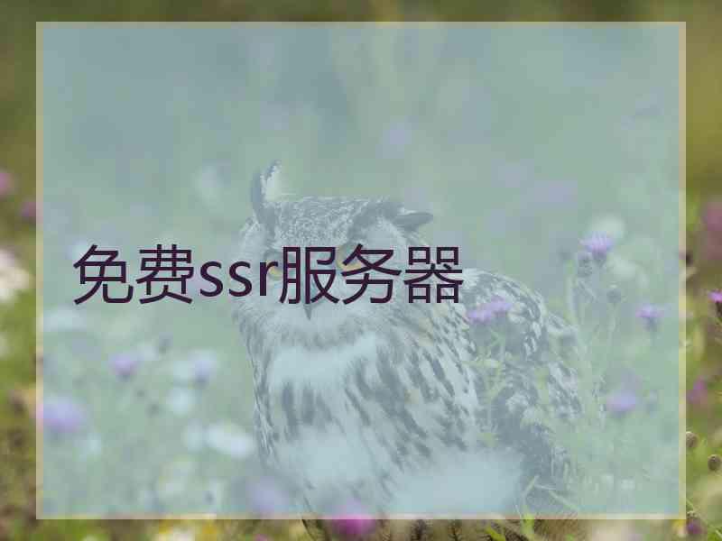 免费ssr服务器