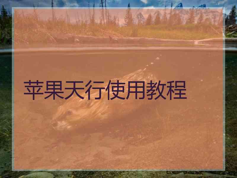 苹果天行使用教程
