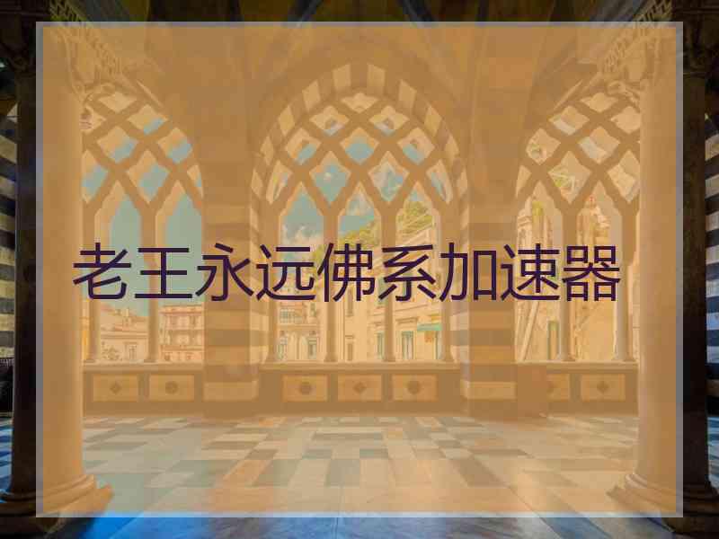 老王永远佛系加速器