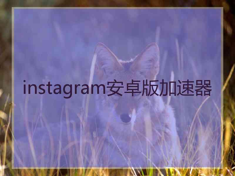 instagram安卓版加速器