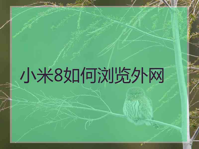 小米8如何浏览外网
