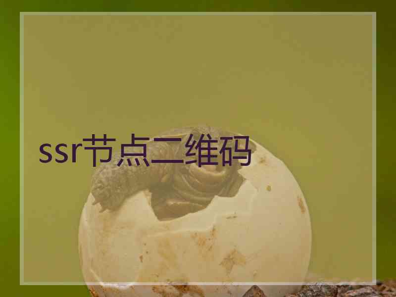 ssr节点二维码