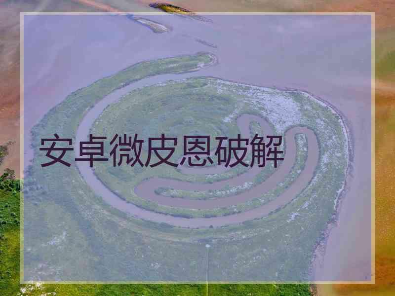 安卓微皮恩破解
