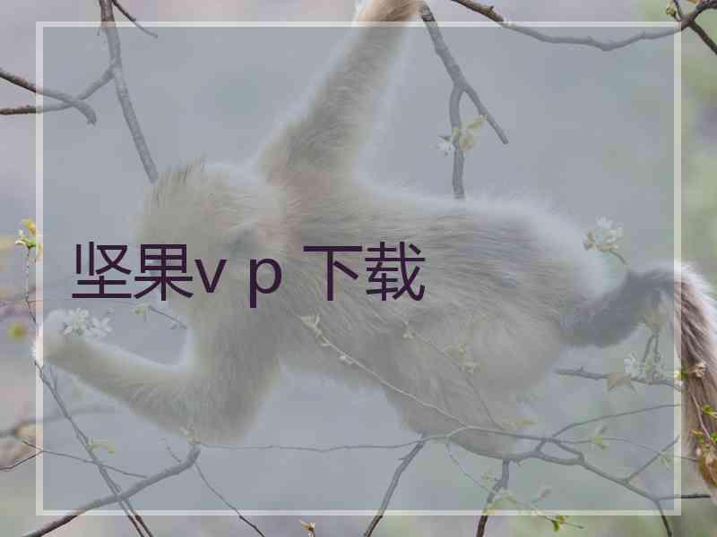 坚果v p 下载