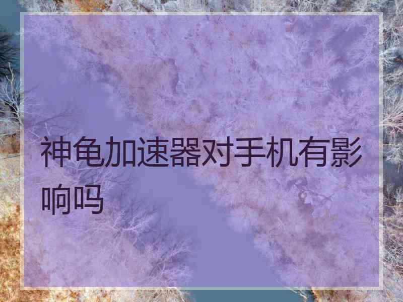 神龟加速器对手机有影响吗