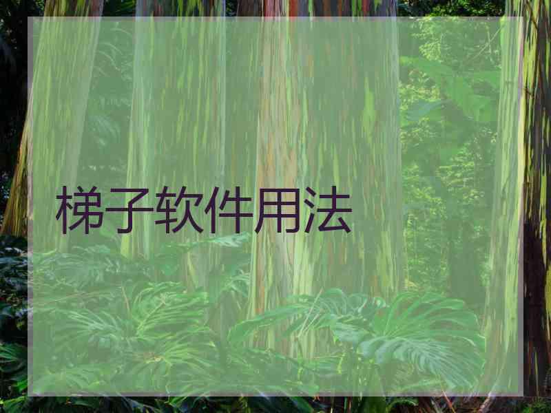 梯子软件用法