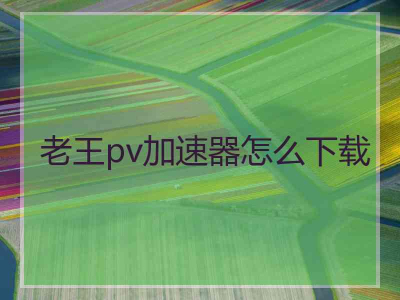 老王pv加速器怎么下载
