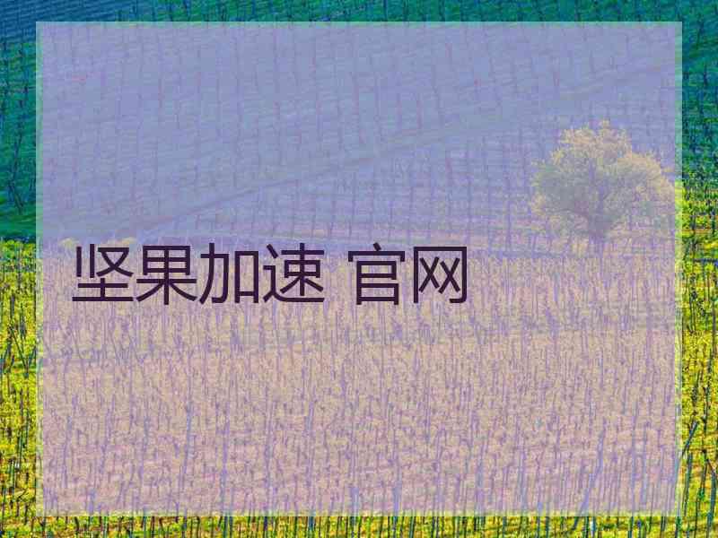 坚果加速 官网