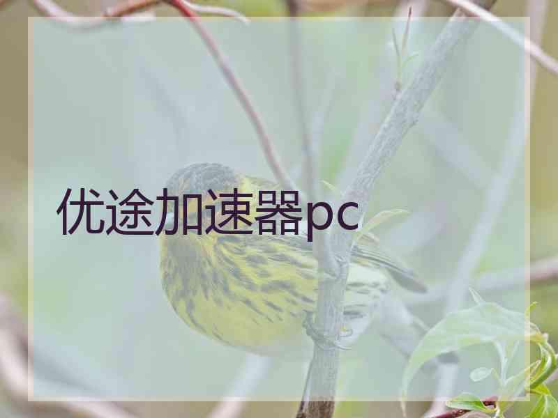 优途加速器pc