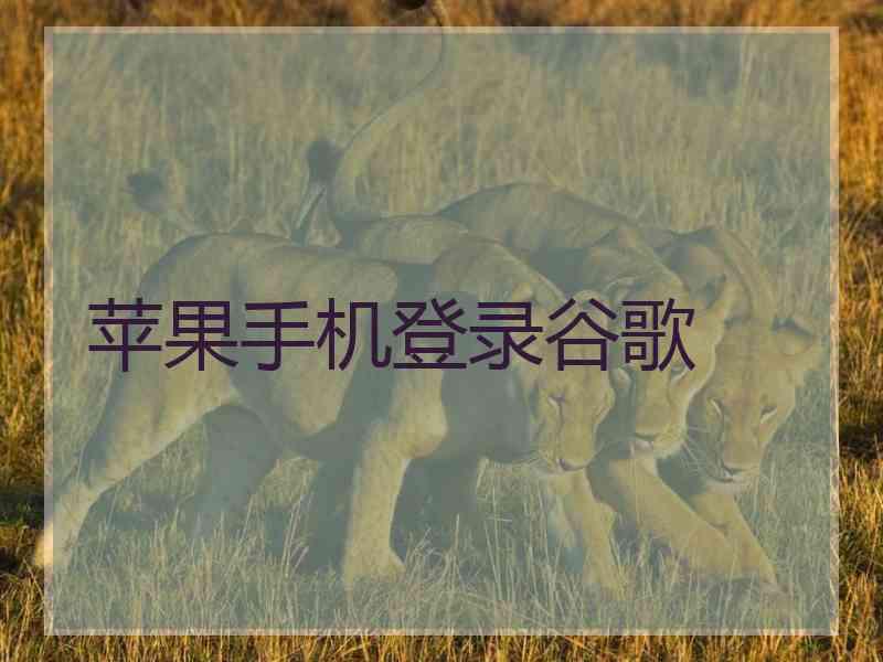 苹果手机登录谷歌