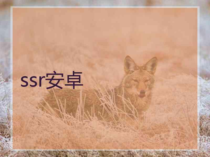 ssr安卓