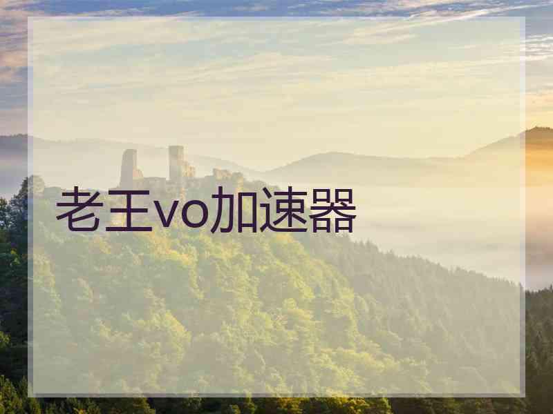 老王vo加速器