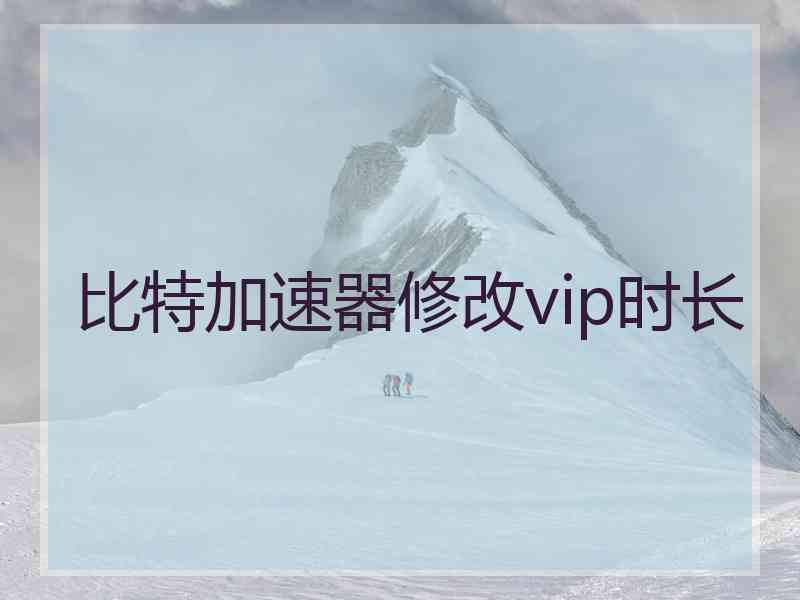 比特加速器修改vip时长