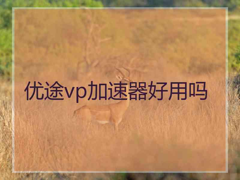 优途vp加速器好用吗
