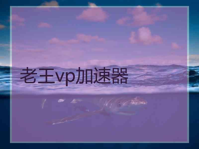 老王vp加速器