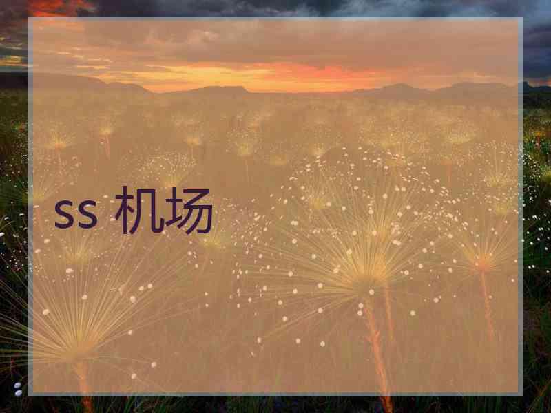 ss 机场