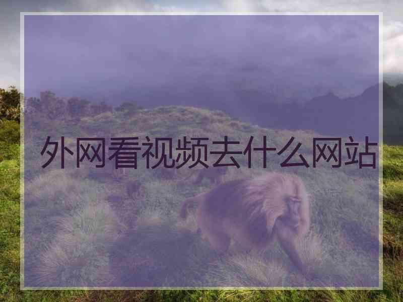 外网看视频去什么网站