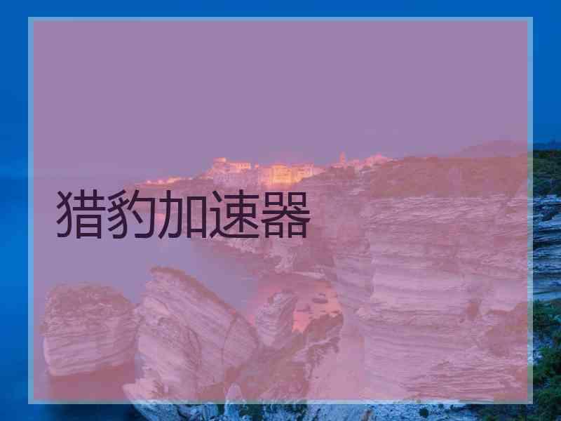 猎豹加速器