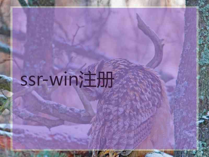 ssr-win注册