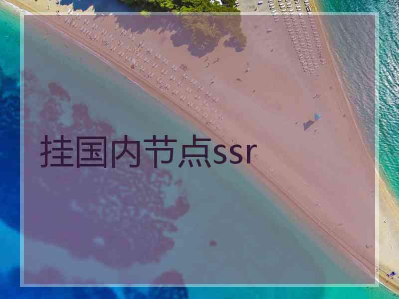 挂国内节点ssr