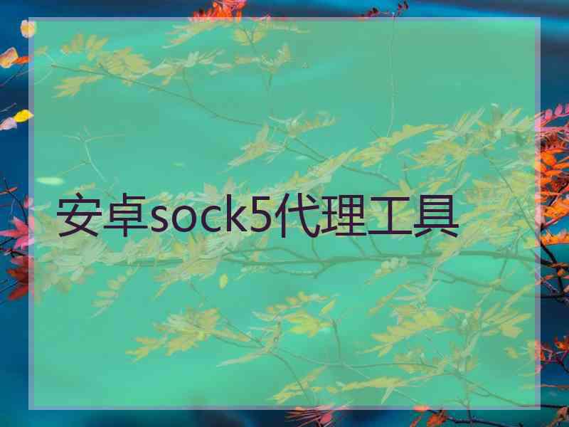 安卓sock5代理工具