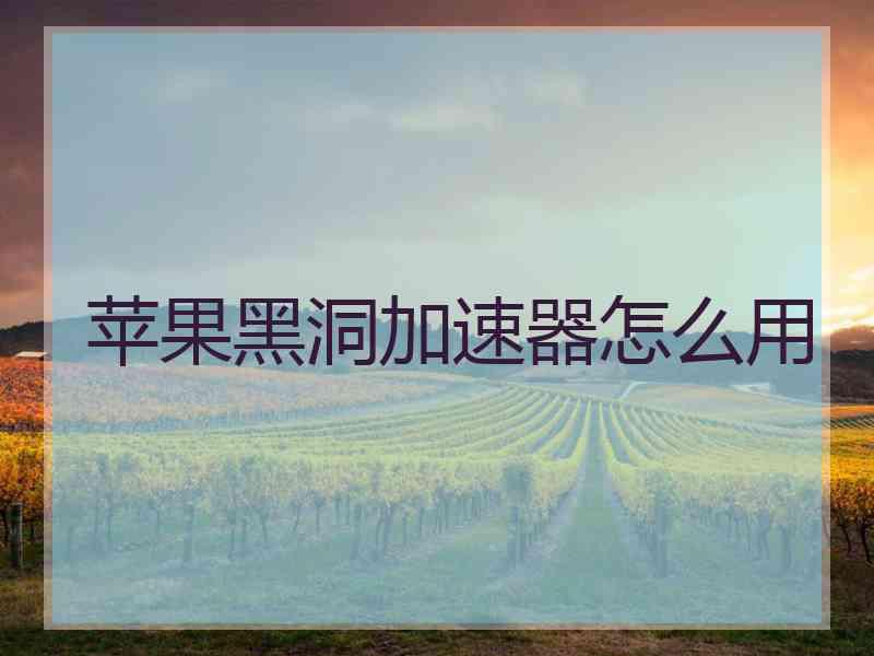 苹果黑洞加速器怎么用