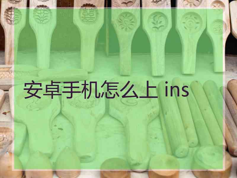 安卓手机怎么上 ins