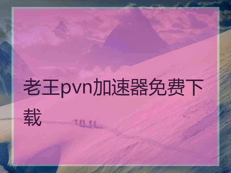 老王pvn加速器免费下载