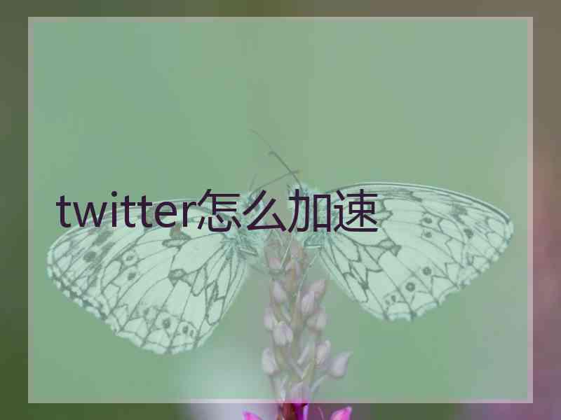 twitter怎么加速