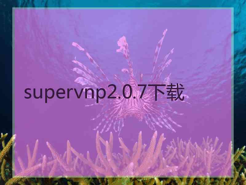 supervnp2.0.7下载