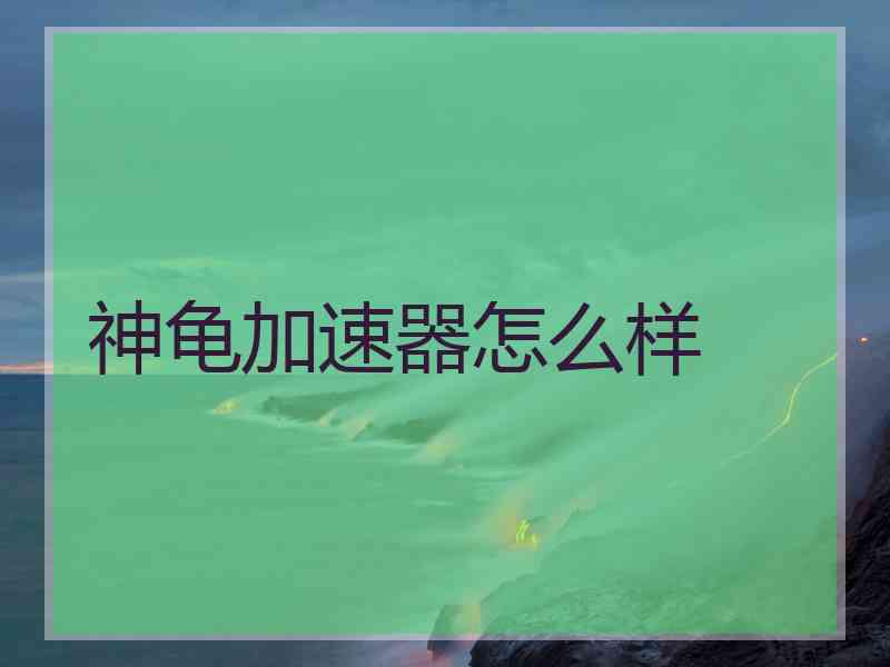 神龟加速器怎么样
